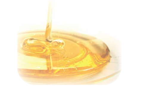 Coconut & Honey Aloe Cleanser